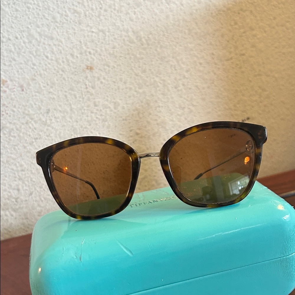 Fendi Tortoise Shell Sunglass Frames - image 1